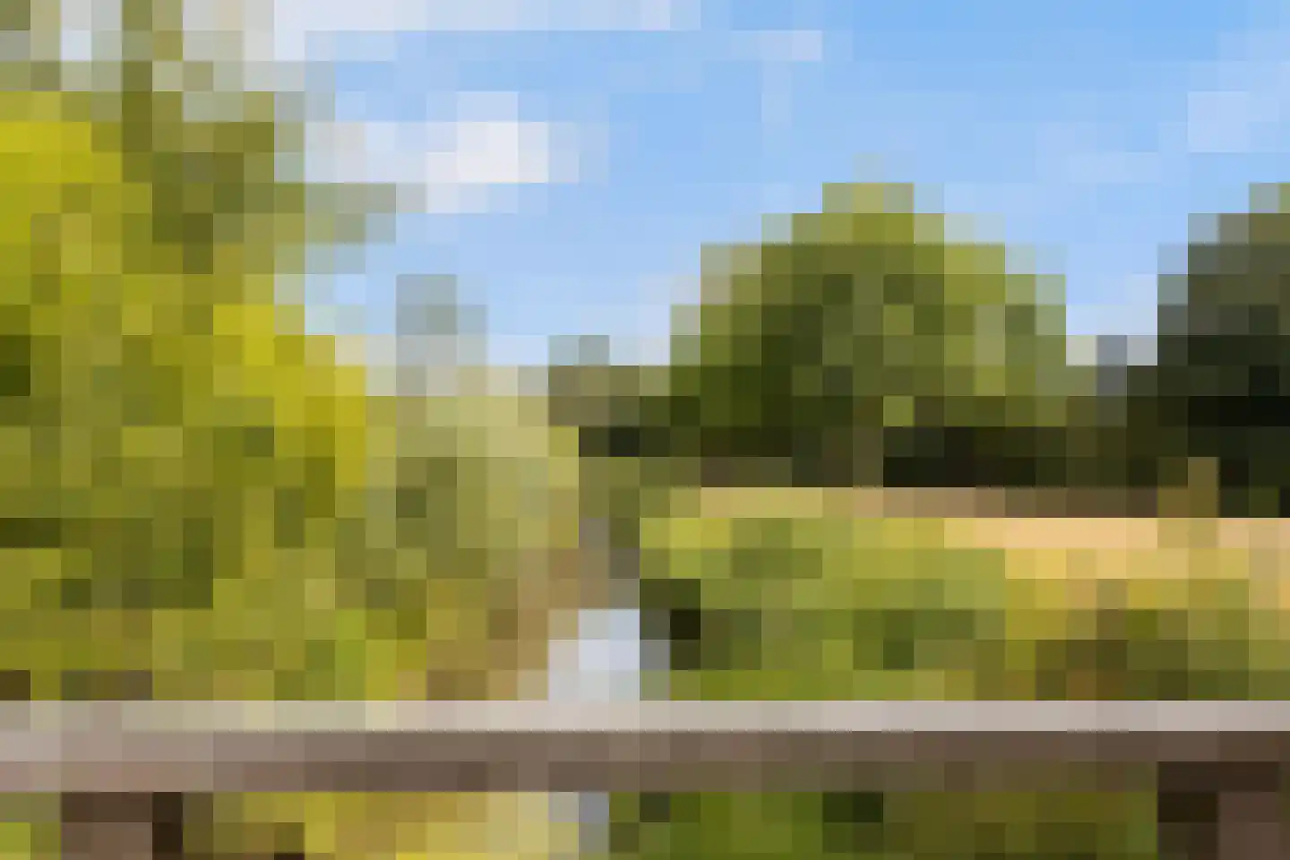 Grote Spie 76 Breda thumbnail 42