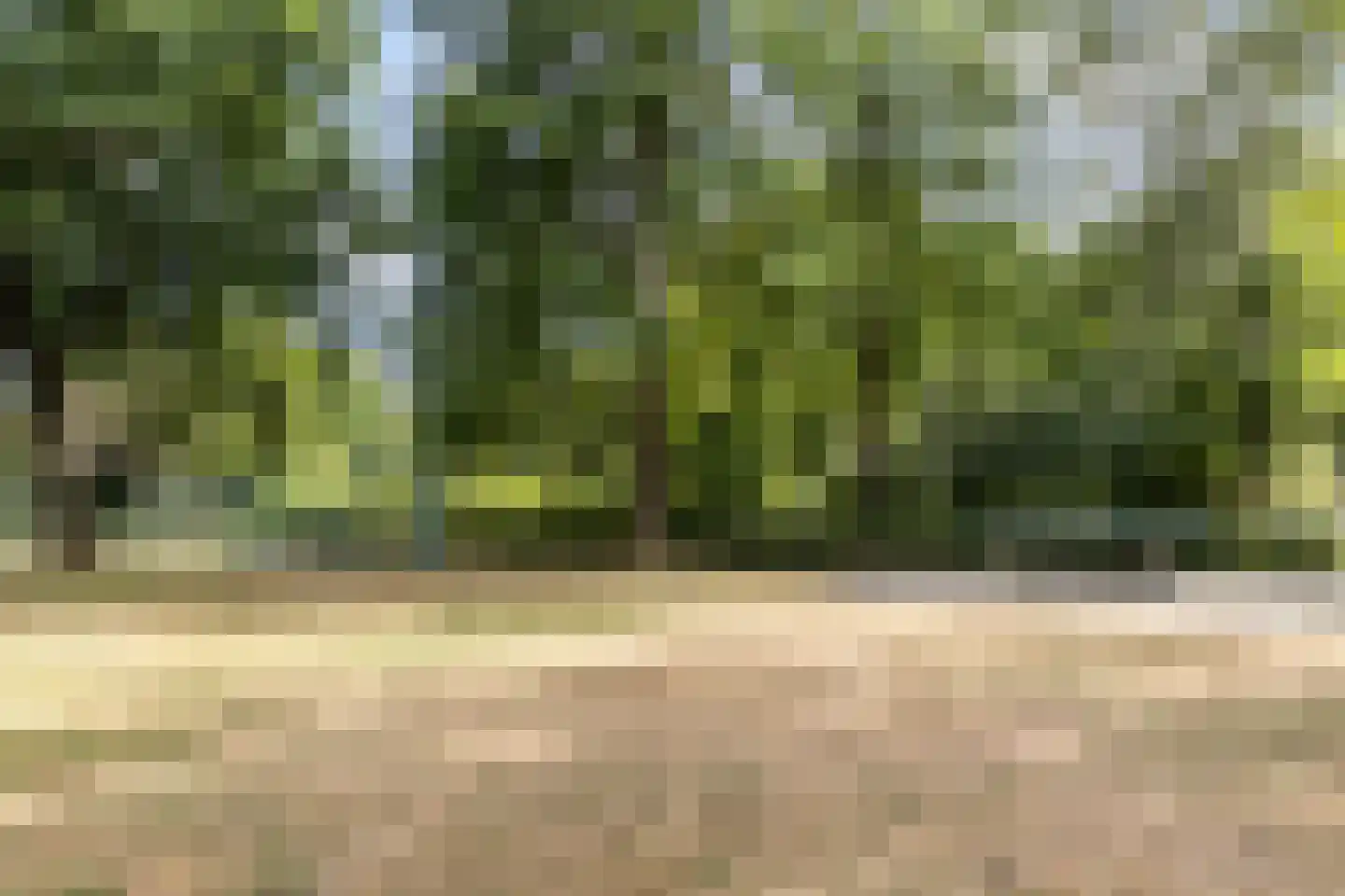 Grote Spie 76 Breda thumbnail 7
