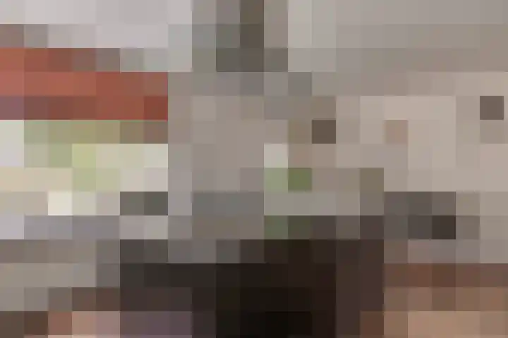 Grote Stern 97 Rozenburg thumbnail 13
