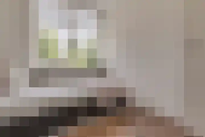 Grote Stern 97 Rozenburg thumbnail 21