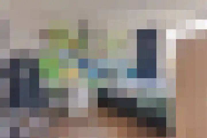 Grote Stern 97 Rozenburg thumbnail 22