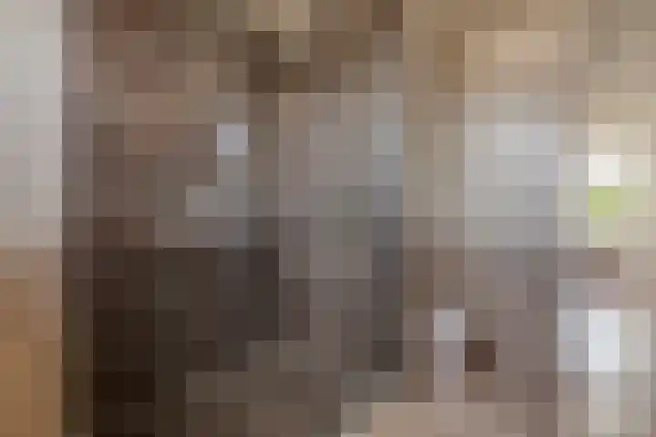 Grote Stern 97 Rozenburg thumbnail 26