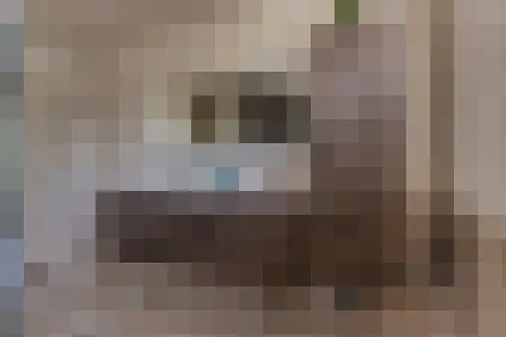 Grote Stern 97 Rozenburg thumbnail 27