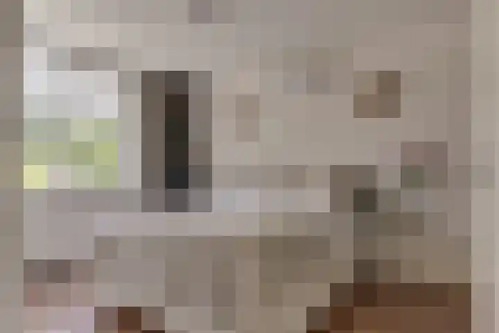 Grote Stern 97 Rozenburg thumbnail 30