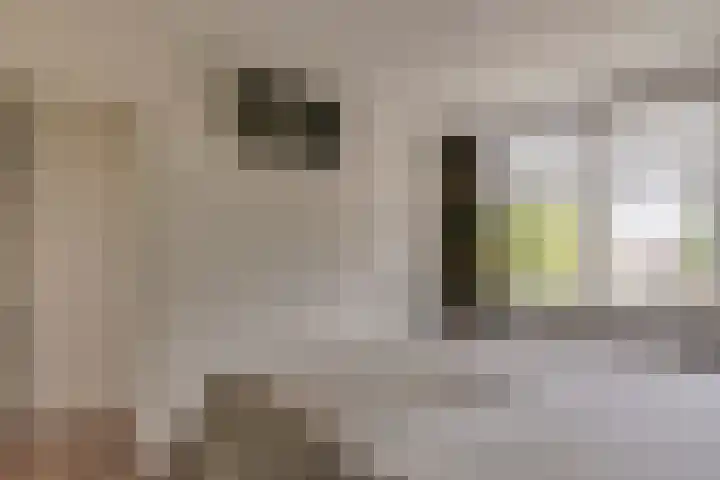 Grote Stern 97 Rozenburg thumbnail 32