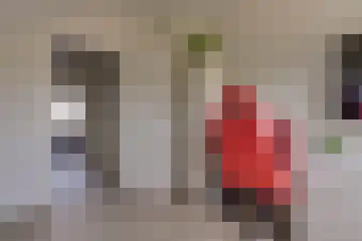 Grote Stern 97 Rozenburg thumbnail 37