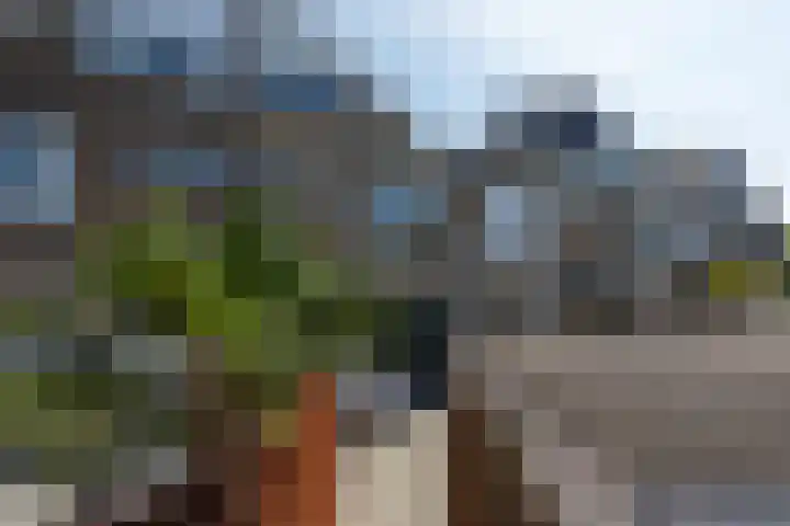 Grote Stern 97 Rozenburg thumbnail 41