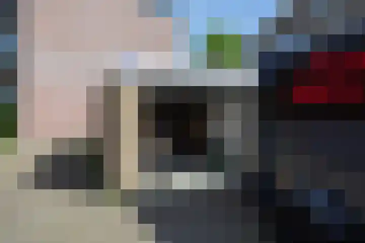 Grote Stern 97 Rozenburg thumbnail 43