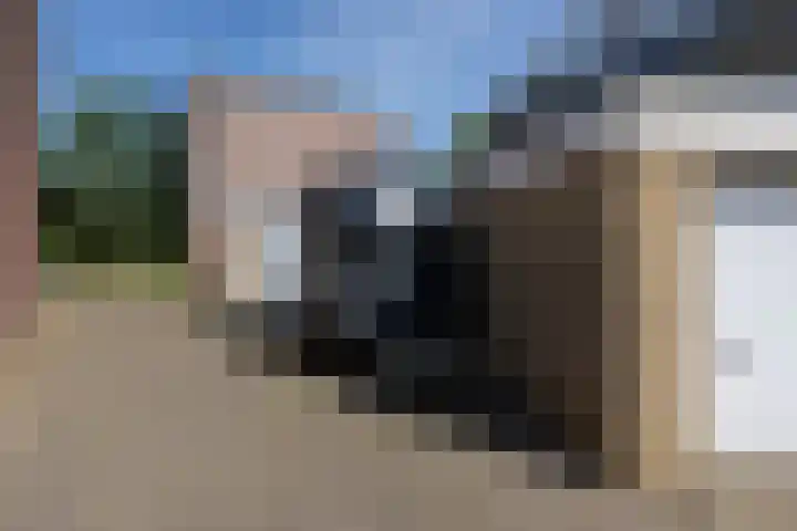 Grote Stern 97 Rozenburg thumbnail 45