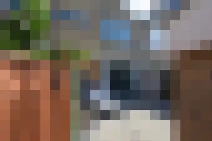 Grote Stern 97 Rozenburg thumbnail 5