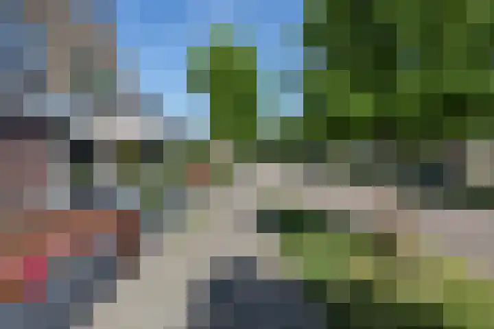 Grote Stern 97 Rozenburg thumbnail 8