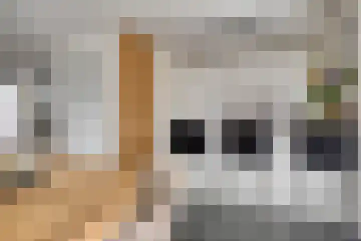 Grote Sternstraat 47 Middelburg thumbnail 10