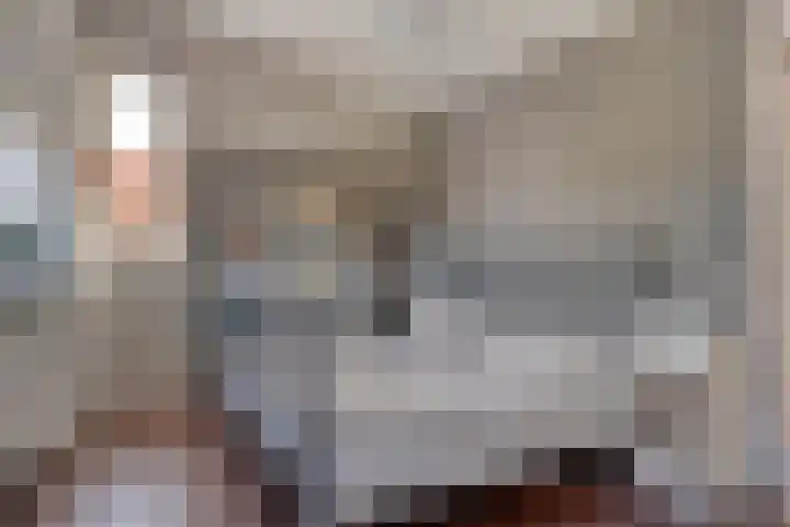 Grote Sternstraat 68 Middelburg thumbnail 31