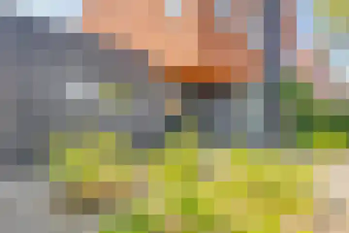 Grote Sternstraat 68 Middelburg thumbnail 4