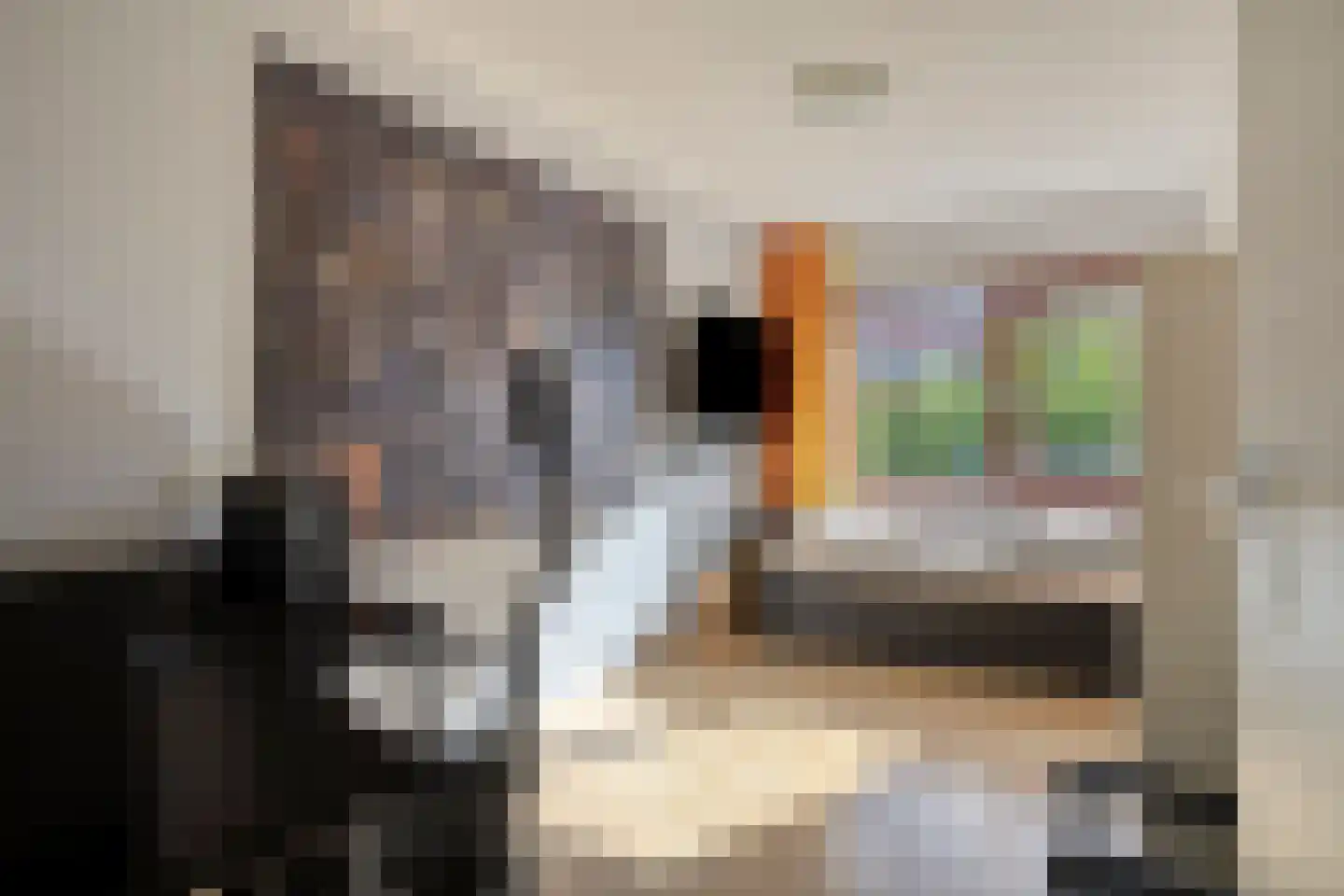 Grote Sternstraat 73 Middelburg thumbnail 25