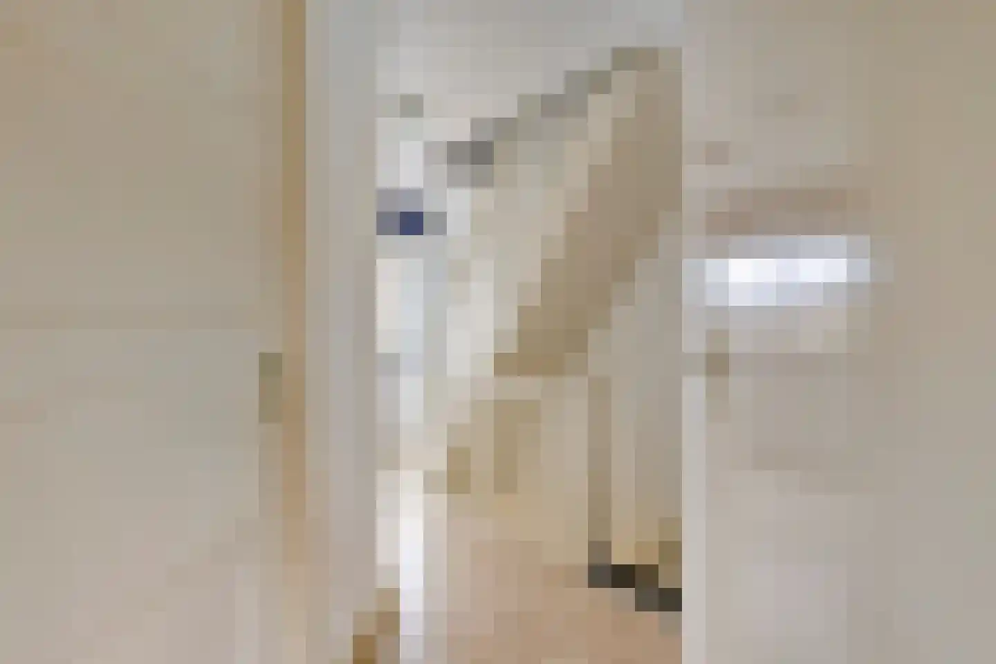 Grote Straat 14 Urmond thumbnail 22