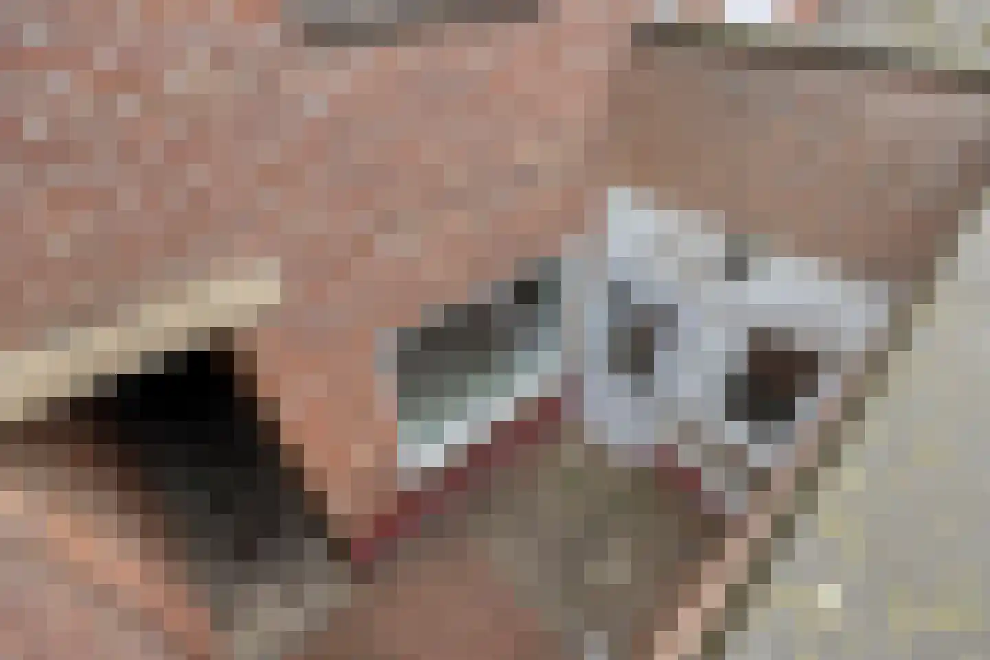 Grote Straat 14 Urmond thumbnail 35