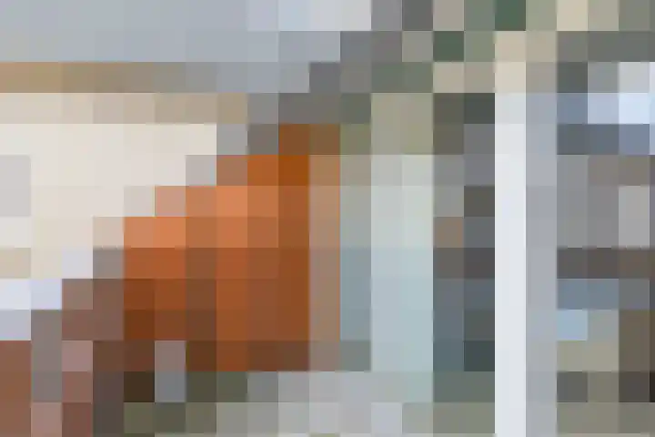 Grote Straat 2 D Berg en Terblijt thumbnail 22