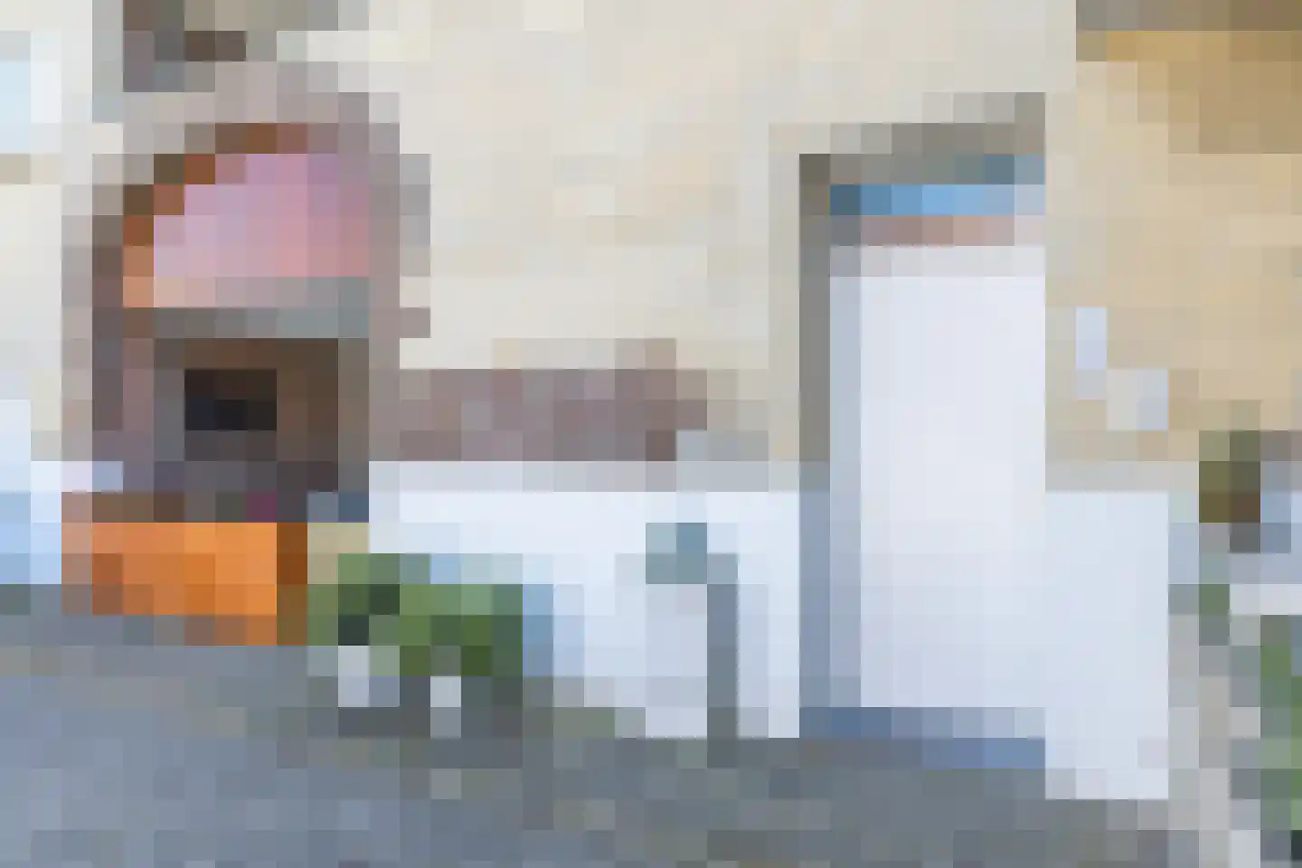Grote Straat 2 E Berg en Terblijt thumbnail 24