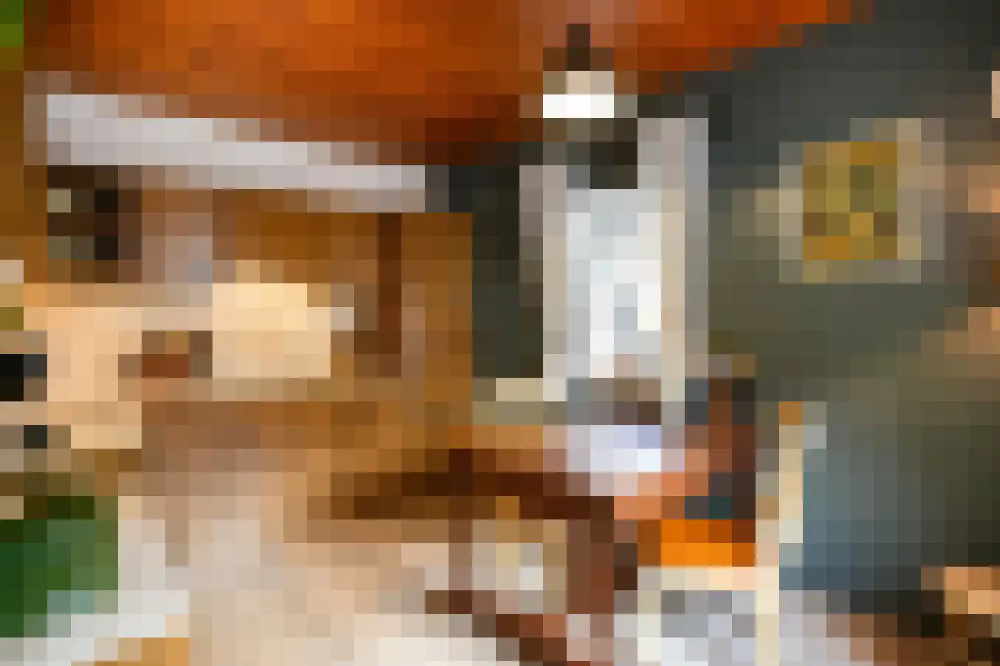 Grote Straat 26 Berg en Terblijt thumbnail 12