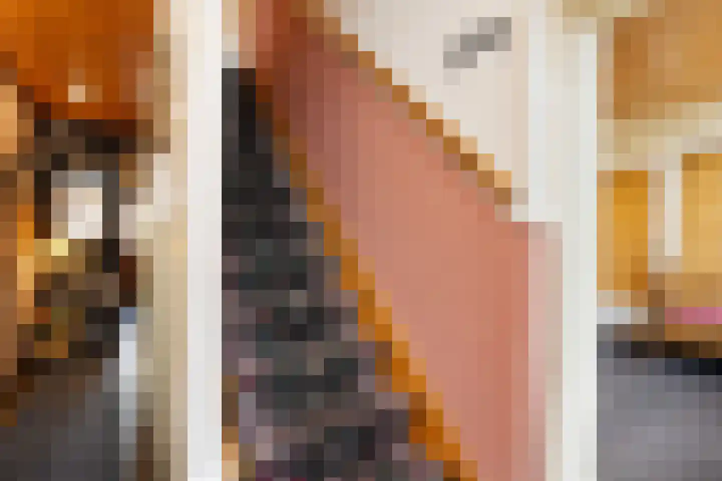 Grote Straat 26 Berg en Terblijt thumbnail 16