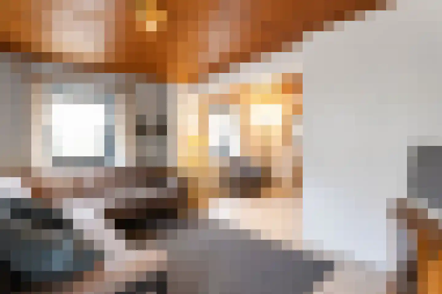 Grote Straat 26 Berg en Terblijt thumbnail 21