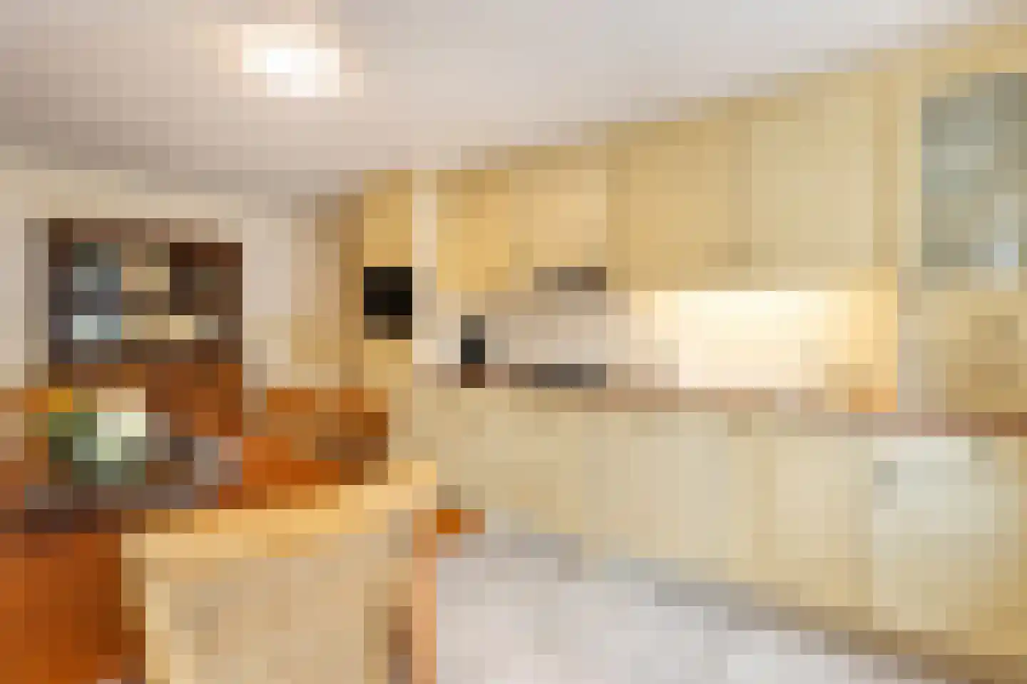 Grote Straat 26 Berg en Terblijt thumbnail 28