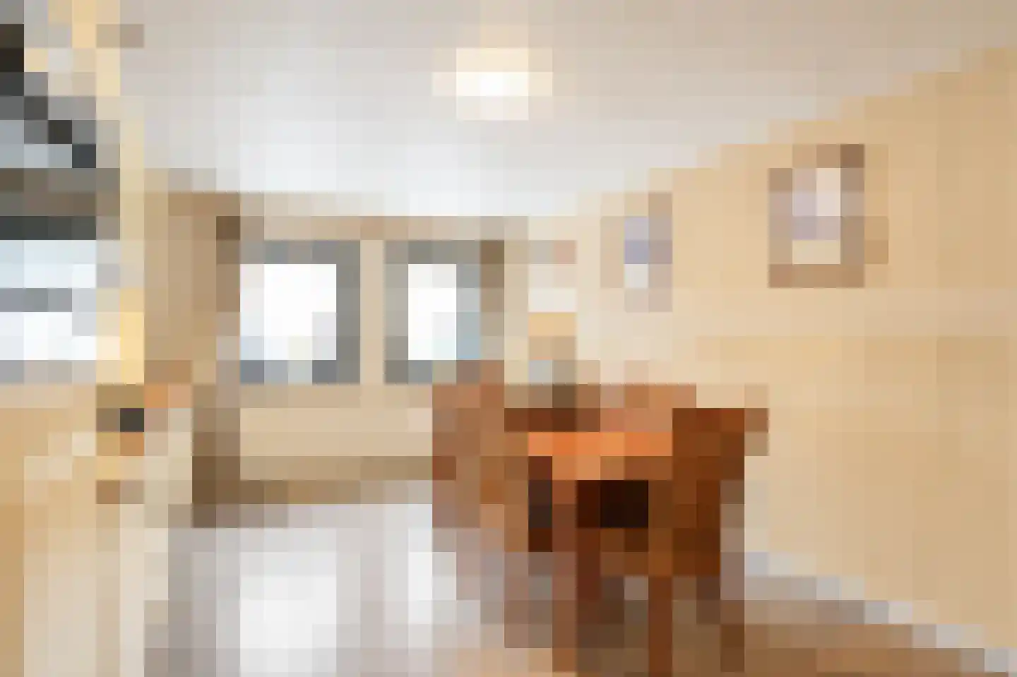 Grote Straat 26 Berg en Terblijt thumbnail 29