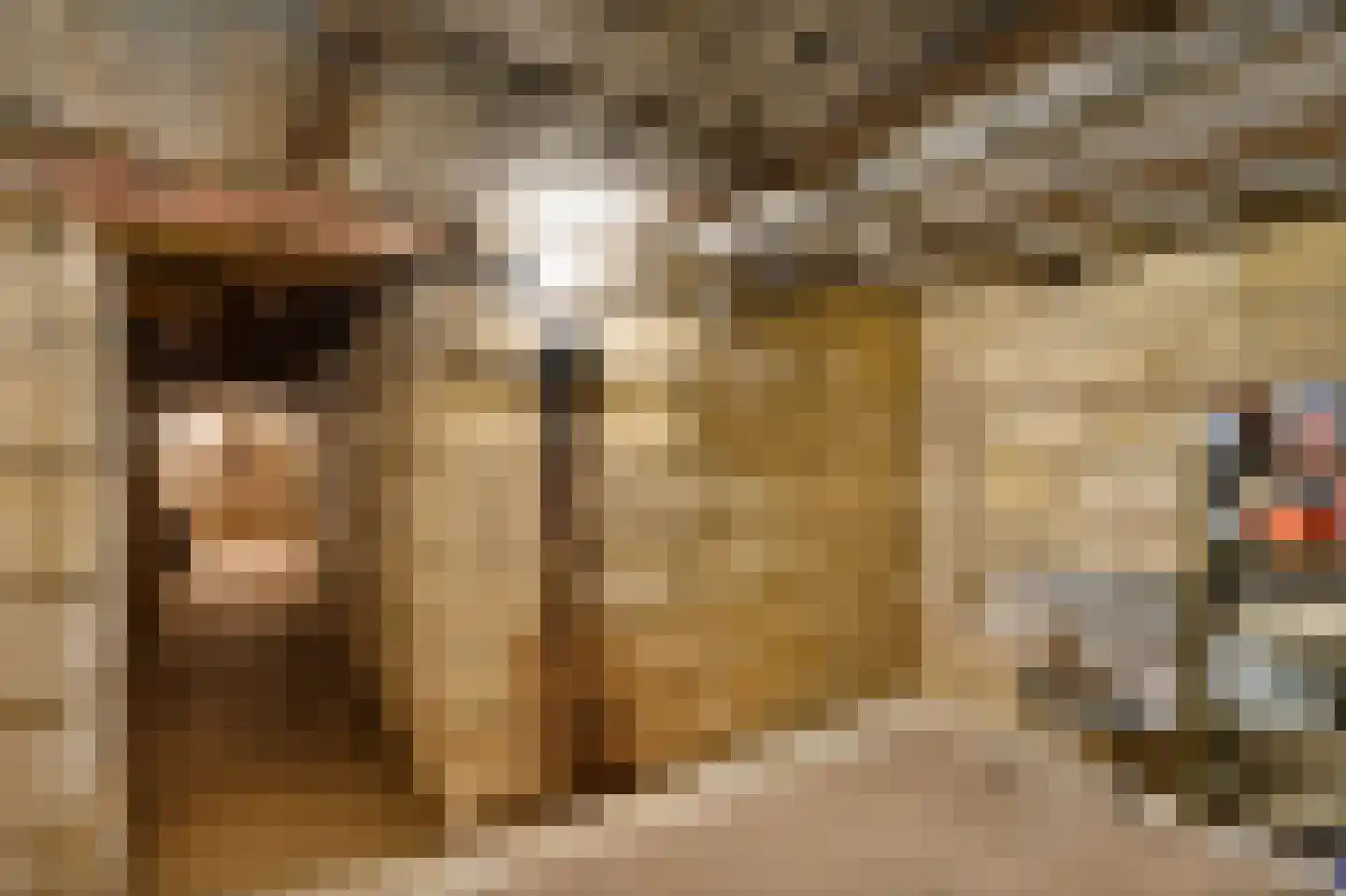 Grote Straat 26 Berg en Terblijt thumbnail 32