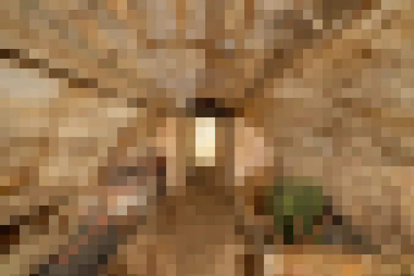 Grote Straat 26 Berg en Terblijt thumbnail 33