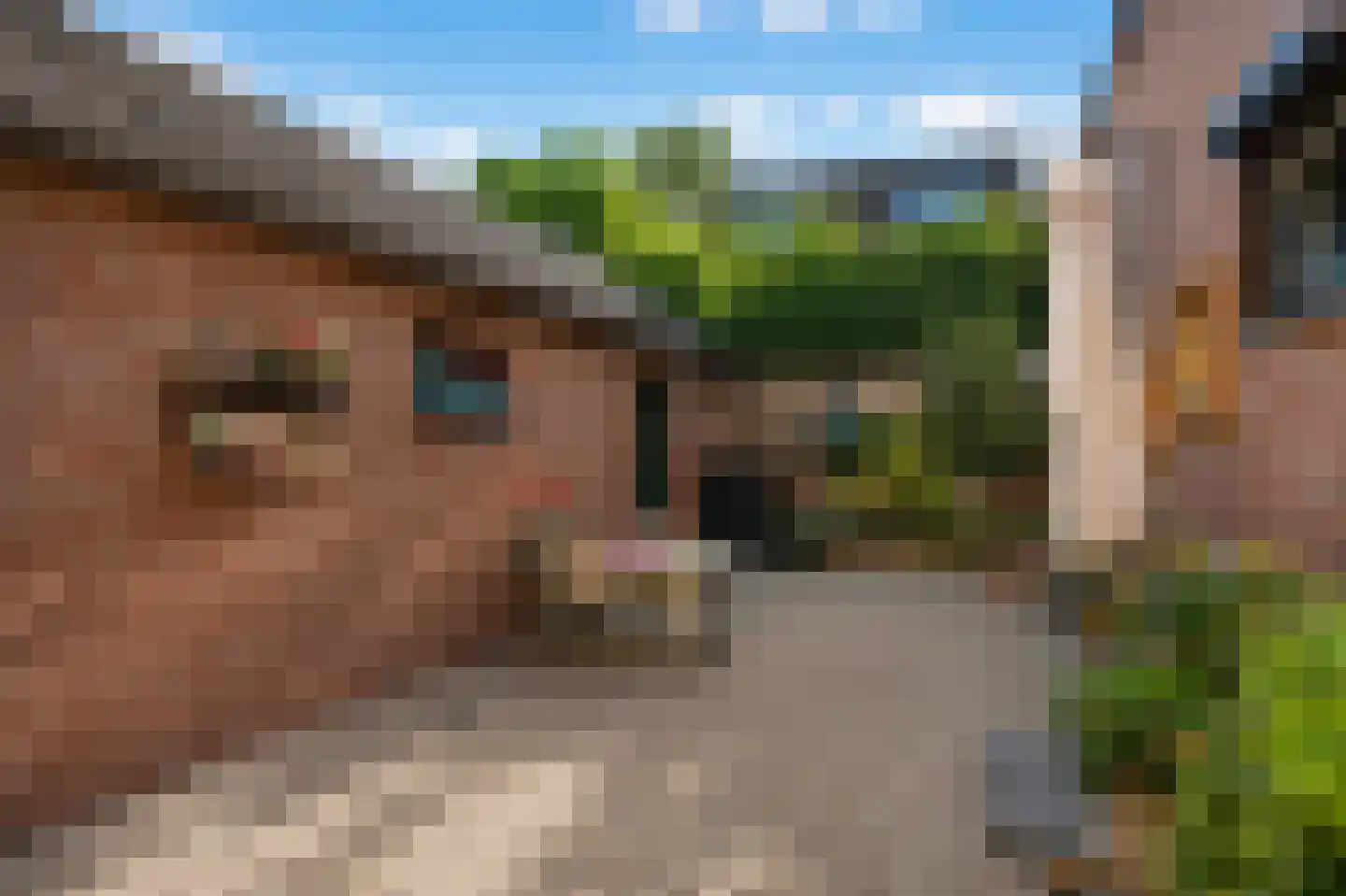 Grote Straat 26 Berg en Terblijt thumbnail 35