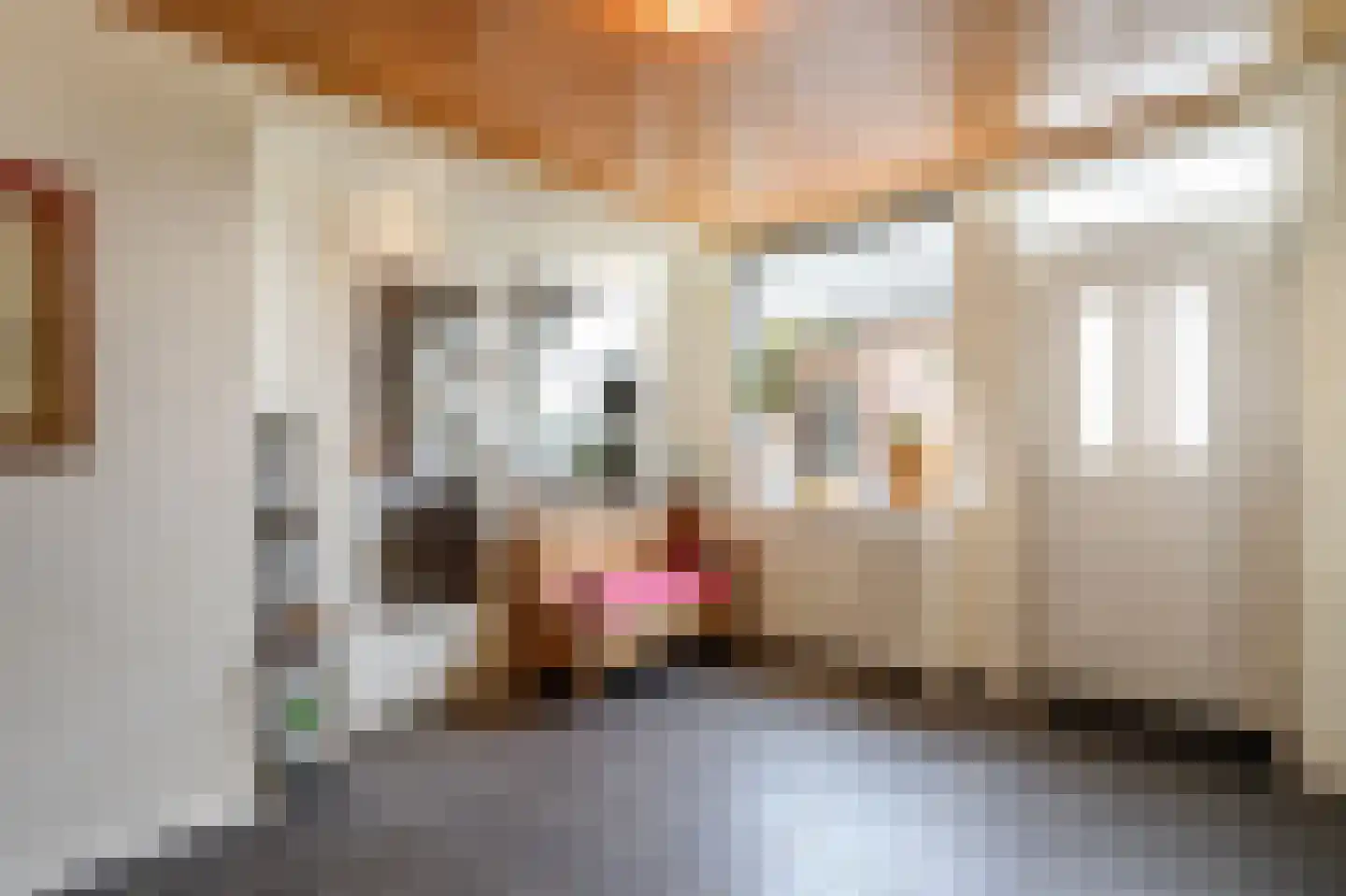 Grote Straat 26 Berg en Terblijt thumbnail 4