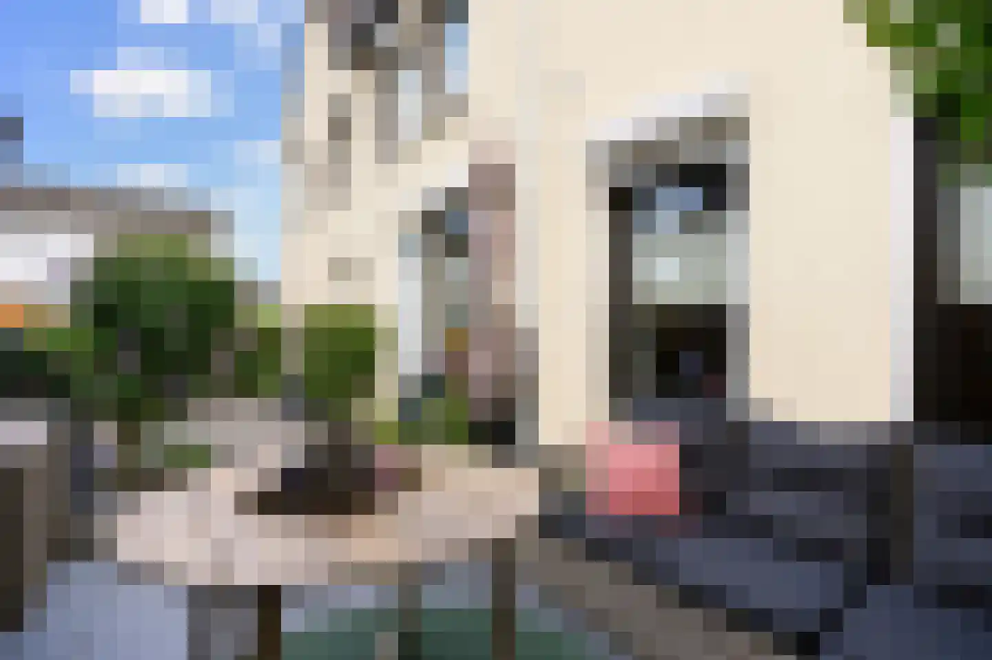 Grote Straat 26 Berg en Terblijt thumbnail 46