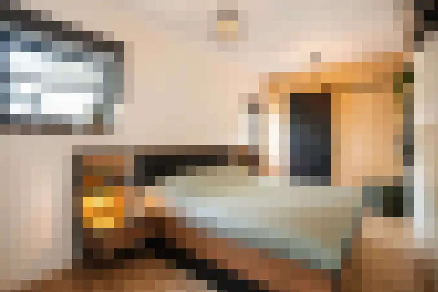 Grote Straat 26 Berg en Terblijt thumbnail 5