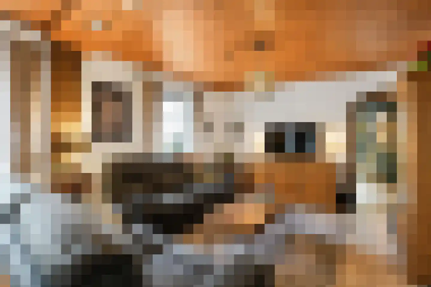 Grote Straat 26 Berg en Terblijt thumbnail 6