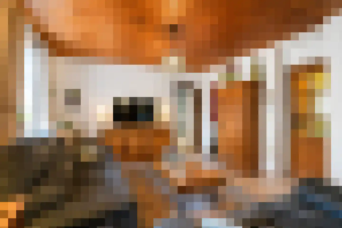 Grote Straat 26 Berg en Terblijt thumbnail 7