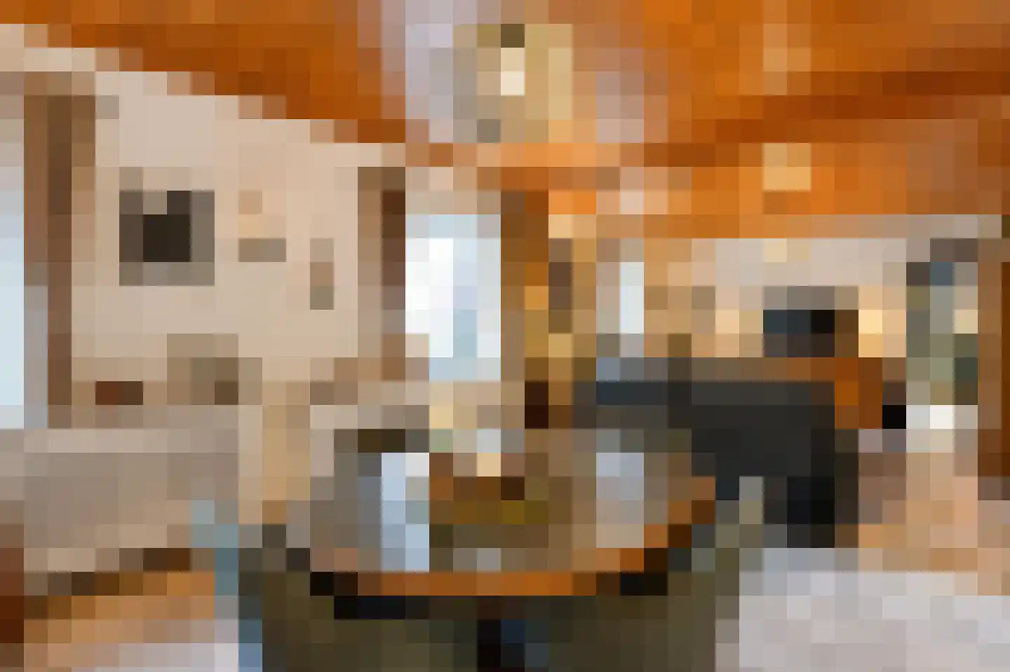 Grote Straat 26 Berg en Terblijt thumbnail 8