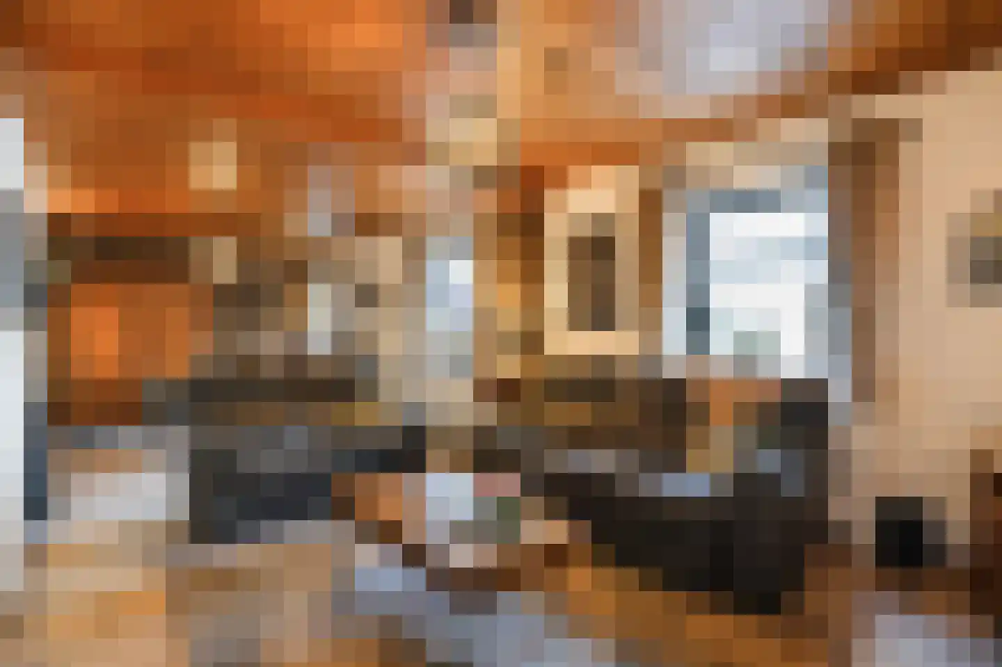 Grote Straat 26 Berg en Terblijt thumbnail 9