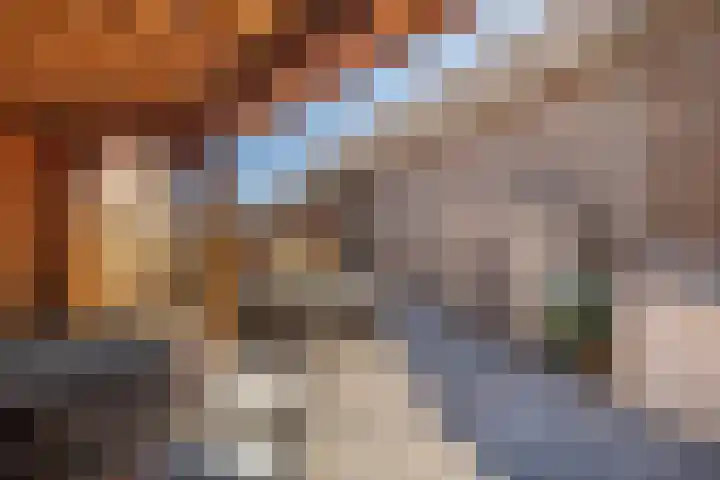 Grote Straat 30 Elsloo thumbnail 34