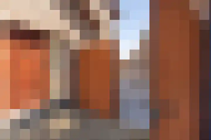 Grote Straat 30 Elsloo thumbnail 44