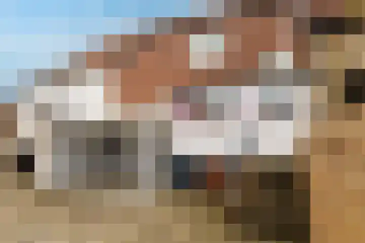 Grote Straat 30 Urmond thumbnail 16