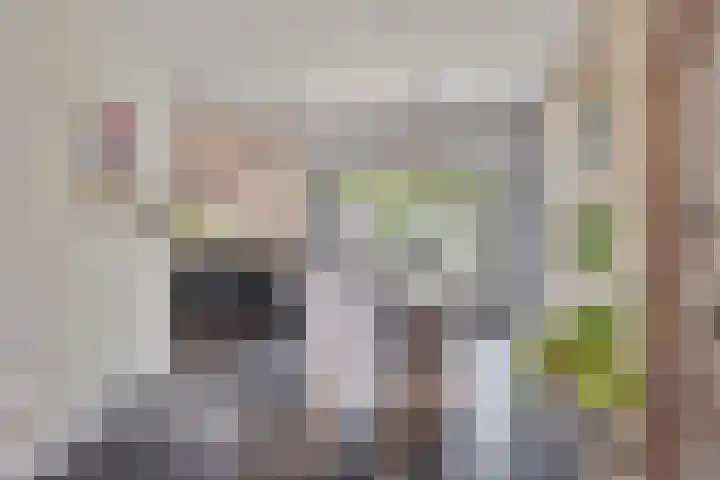 Grote Straat 75 Berg en Terblijt thumbnail 12