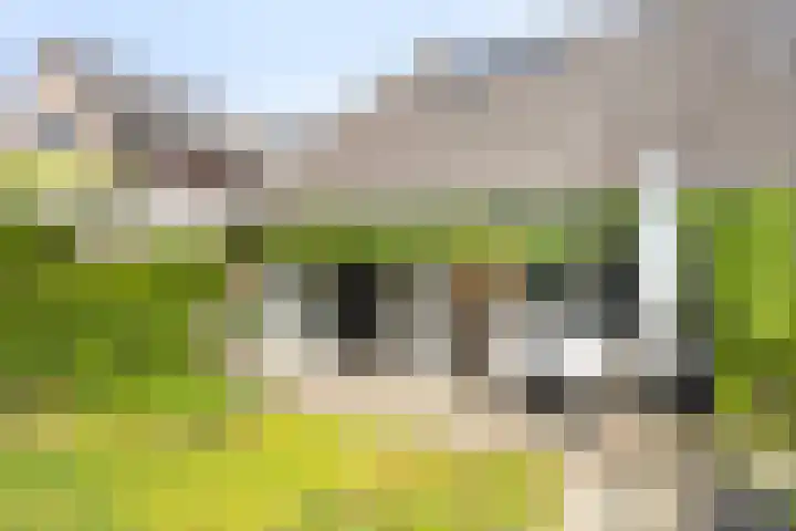 Grote Straat 75 Berg en Terblijt thumbnail 32