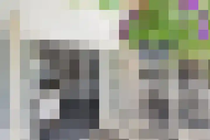 Grote Straat 75 Berg en Terblijt thumbnail 33