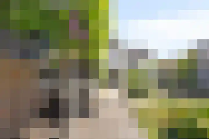 Grote Straat 75 Berg en Terblijt thumbnail 36