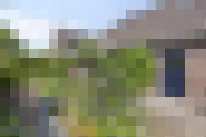 Grote Straat 75 Berg en Terblijt thumbnail 37