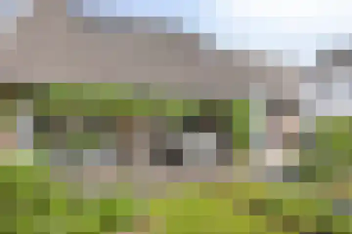 Grote Straat 75 Berg en Terblijt thumbnail 39