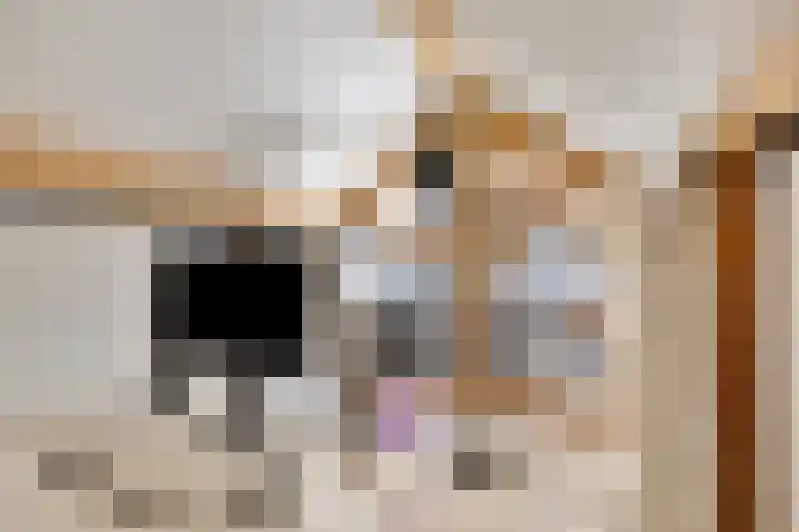 Grote Straat 75 Berg en Terblijt thumbnail 62