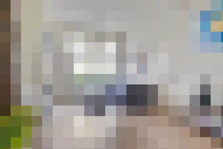 Grote Straat 75 Berg en Terblijt thumbnail 9