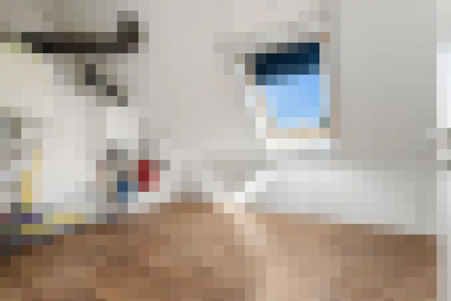 Grote Tiend 14 Echt thumbnail 22